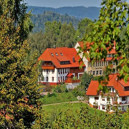 Dachsberg im SchwarzwaldHaus Schlageterアパートメント エクステリア 写真
