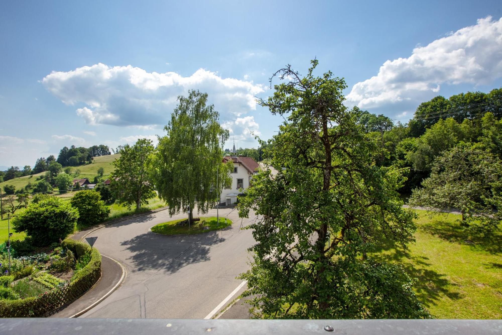 Dachsberg im SchwarzwaldHaus Schlageterアパートメント エクステリア 写真