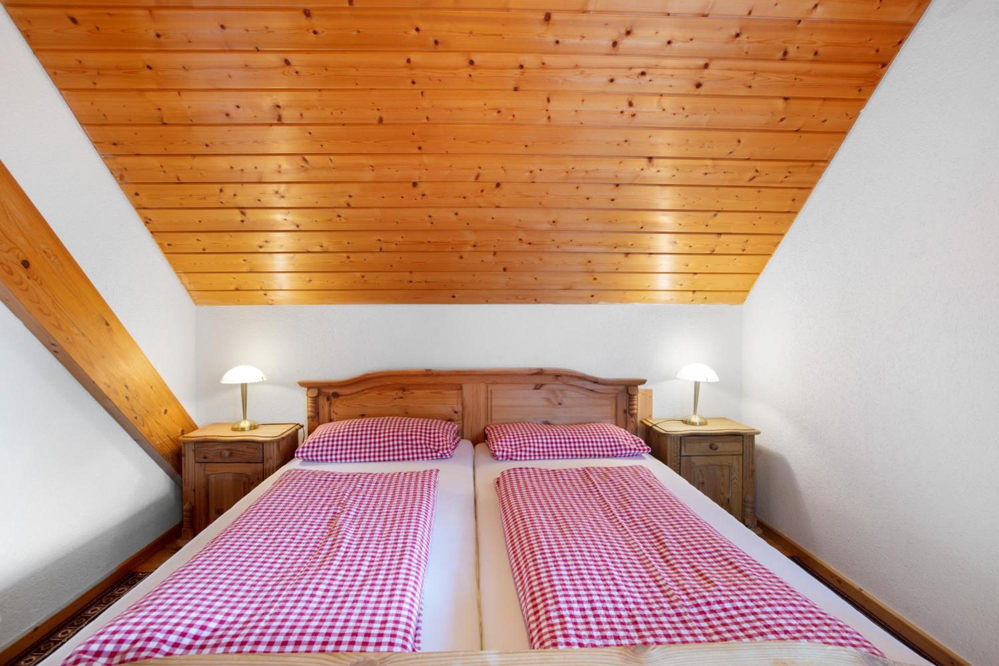 Dachsberg im SchwarzwaldHaus Schlageterアパートメント エクステリア 写真