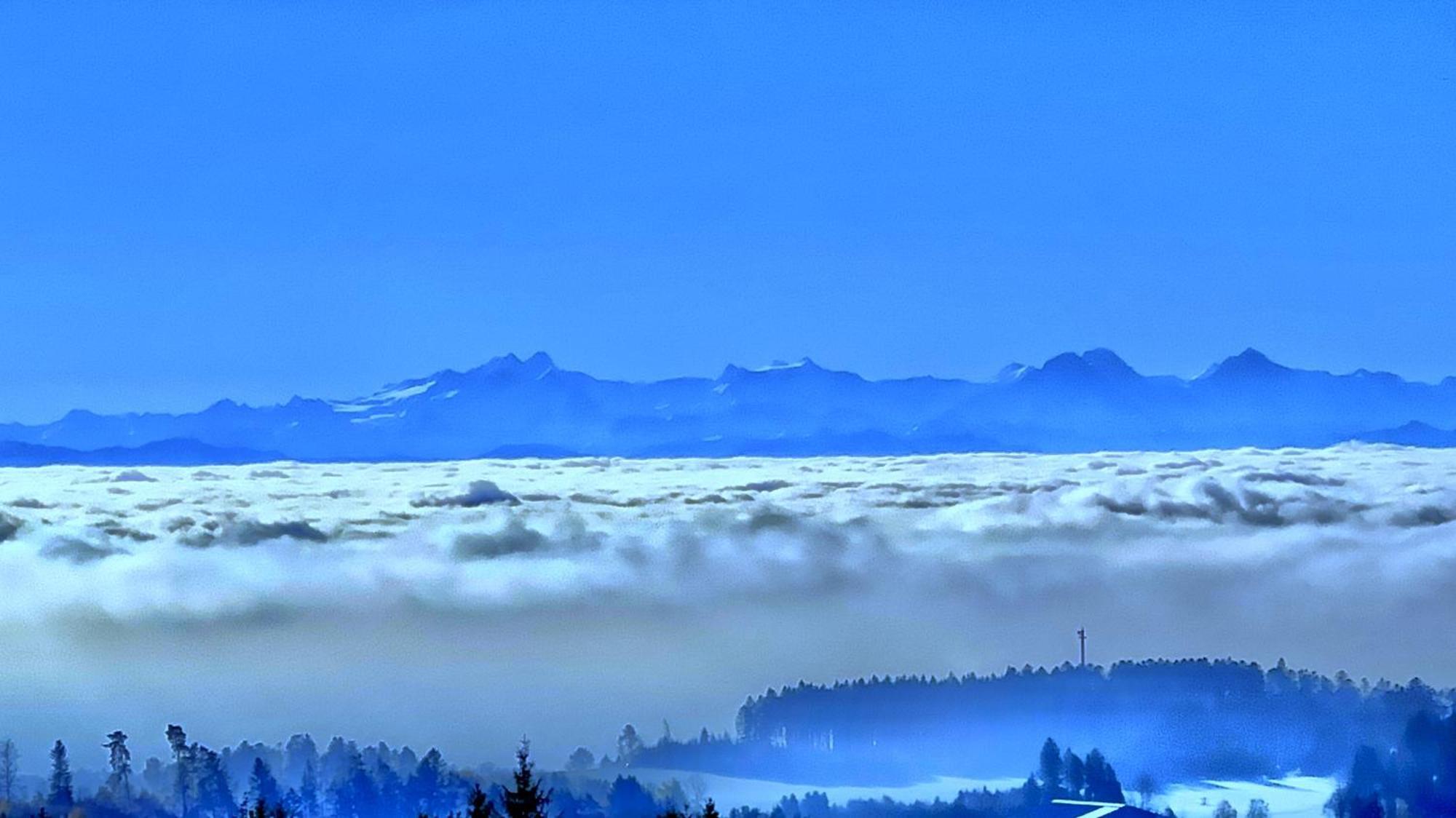 Dachsberg im SchwarzwaldHaus Schlageterアパートメント エクステリア 写真