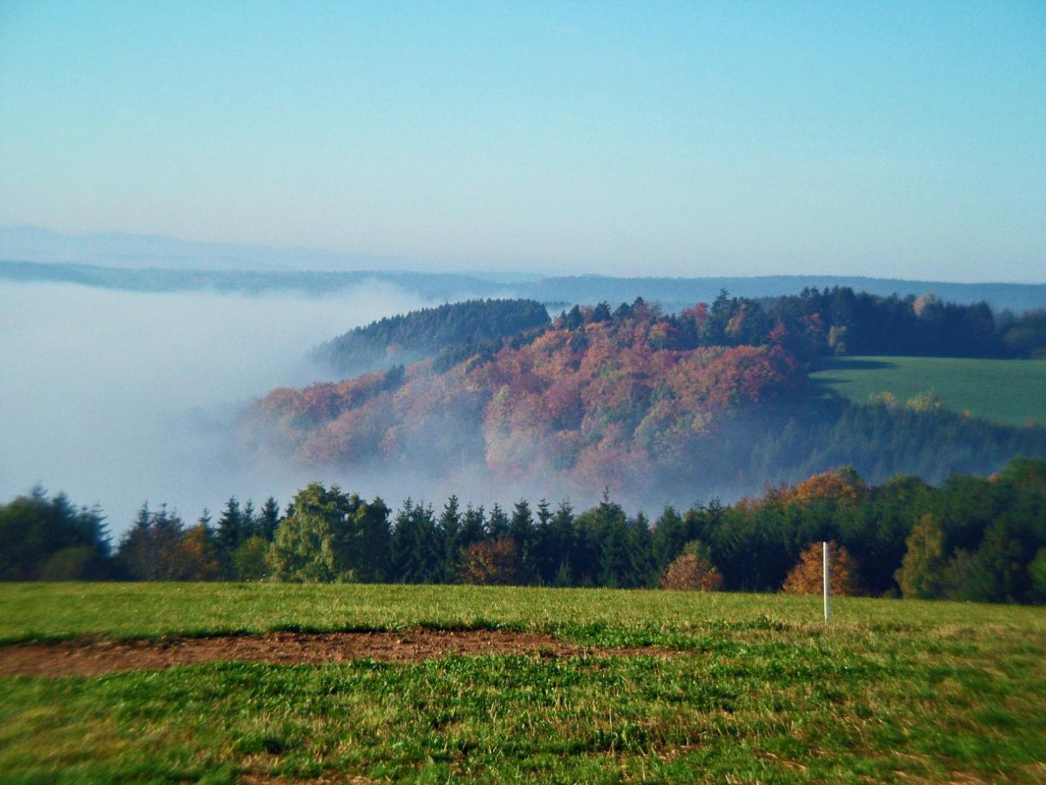 Dachsberg im SchwarzwaldHaus Schlageterアパートメント エクステリア 写真