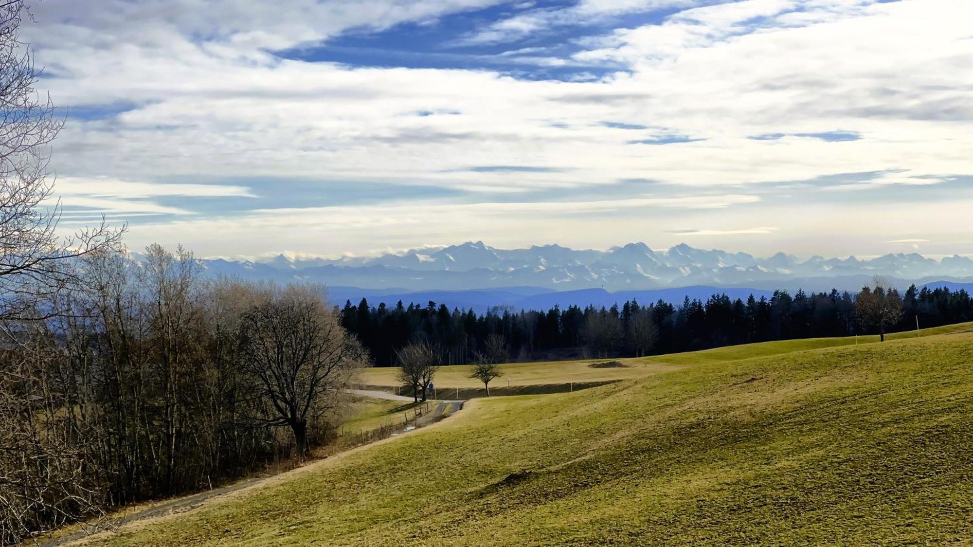 Dachsberg im SchwarzwaldHaus Schlageterアパートメント エクステリア 写真