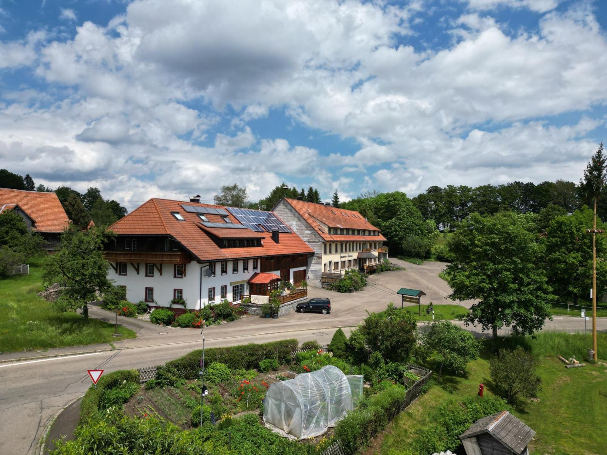 Dachsberg im SchwarzwaldHaus Schlageterアパートメント エクステリア 写真
