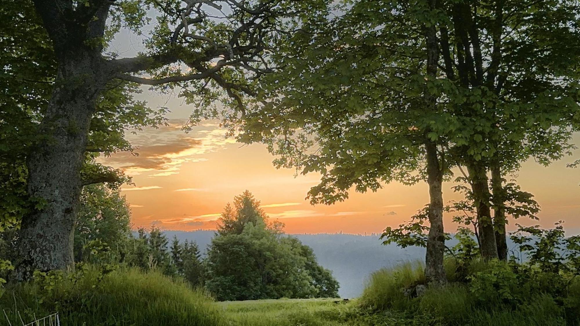 Dachsberg im SchwarzwaldHaus Schlageterアパートメント エクステリア 写真