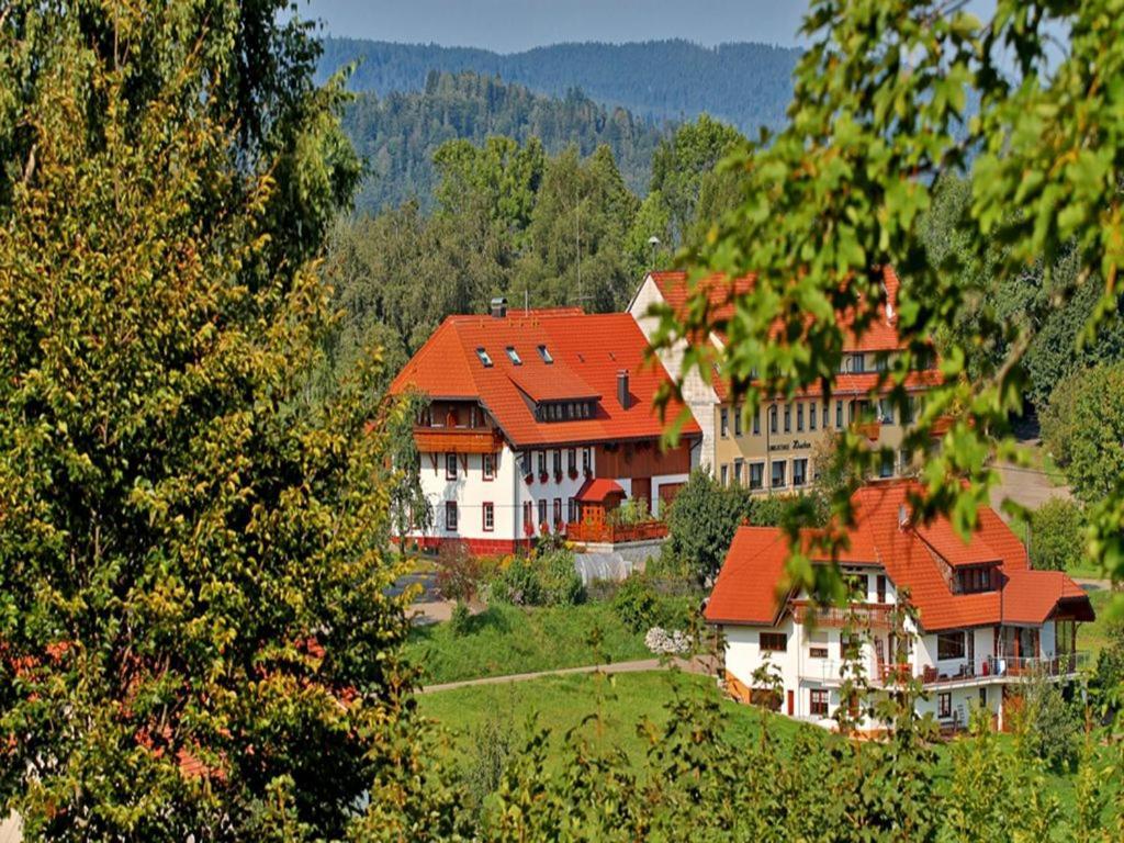 Dachsberg im SchwarzwaldHaus Schlageterアパートメント エクステリア 写真